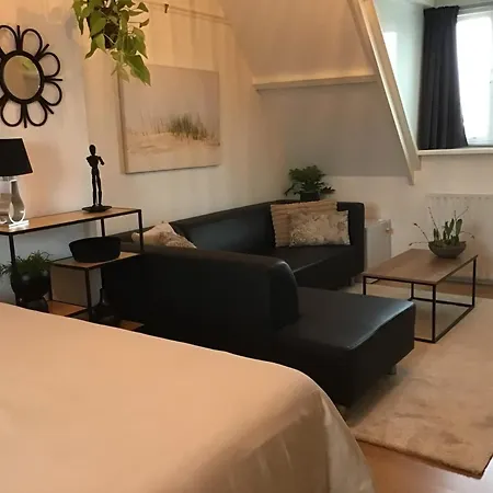 Homestay Sunny Dunes Zandvoort